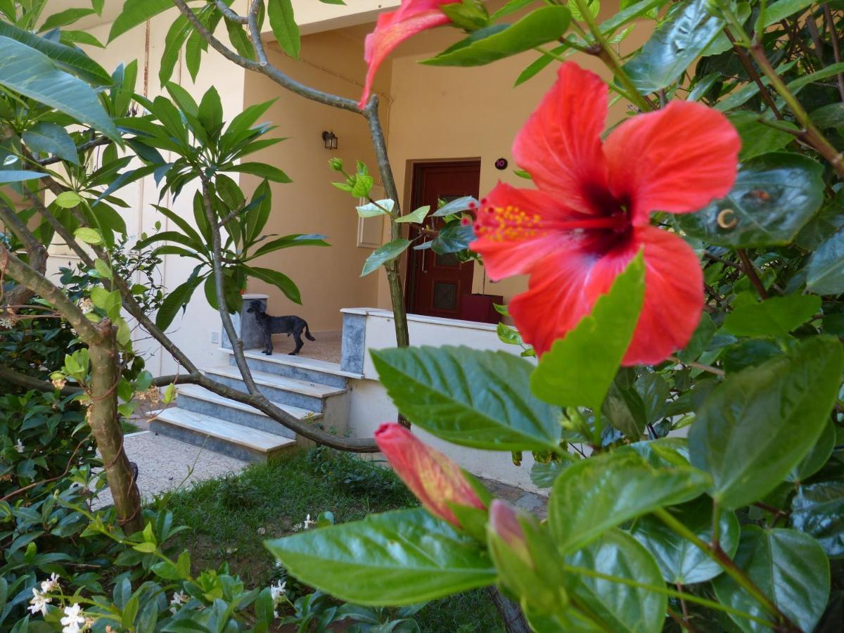 公寓 Avgi Garden House Chania With Private Entrance Hania
